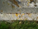image of grave number 312543